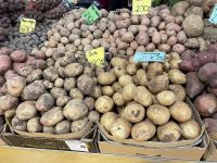 Zum Abschluss besuchen wir den Markt