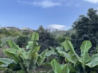 Gegen Nachmittag klart der Himmel auf und der Teide zeigt sich
