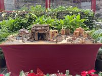 Typisch für die Kanaren - die Weihnachtskrippe. Die Kinder erhalten hier ersten zu den heiligen drei Königen ihre Geschenke, daher läuft die Weihnachtsmusik bis ins neue Jahr hinein.