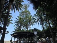 Kirchplatz in Icod de los Vinos, Teneriffa