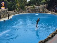 Loro Park, Teneriffa