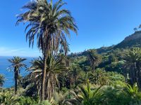 Teneriffa - Wanderung Rambla de Castro (1)