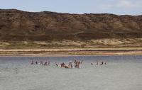 Baden wie im Toten Meer