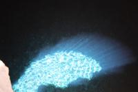 das Blaue Auge