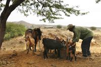 Bauer auf Fogo &ndash; &copy; Kristin Weigel (Eberhardt TRAVEL)