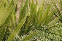 Überall Spinnen &ndash; &copy; Kristin Weigel (Eberhardt TRAVEL)