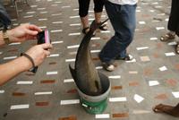 Grosser Fisch &ndash; &copy; Kristin Weigel (Eberhardt TRAVEL)