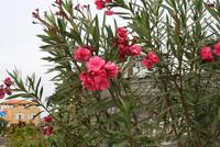 Stadtrundgang in Sao Filipe &ndash; &copy; Kristin Weigel (Eberhardt TRAVEL)