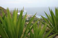 Blick auf Mosteiros im Norden Fogos &ndash; &copy; Kristin Weigel (Eberhardt TRAVEL)