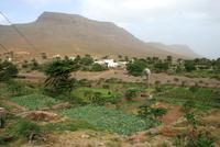 Landwirtschaft auf Sao Vicente &ndash; &copy; Kristin Weigel (Eberhardt TRAVEL)