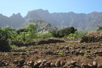 Kleines Feld mit GemÜse &ndash; &copy; Kristin Weigel (Eberhardt TRAVEL)