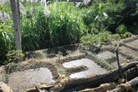 BewÃ€sserungsbau in der Kooperative Lagedos &ndash; &copy; Kristin Weigel (Eberhardt TRAVEL)