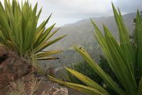Panorama-Fahrt durch das Bergland Santo Antaos &ndash; &copy; Kristin Weigel (Eberhardt TRAVEL)