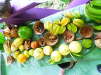 Tropischer Garten, St. Lucia