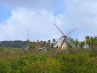 Zuckermühle, Barbados