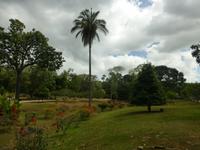 Port of Spain, Trinidad and Tobago