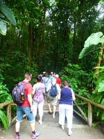 Emerald Pool, Dominica