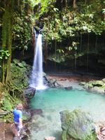 Emerald Pool, Dominica