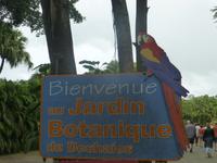 Botanischer Garten, Guadeloupe