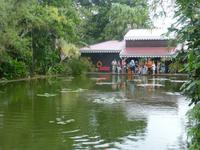 Botanischer Garten, Guadeloupe