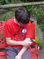 Botanischer Garten, Guadeloupe