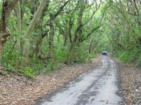 Jeeptour, St. Kitts and Nevis