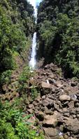 Dominica - Trafalgar Falls