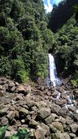 Dominica - Trafalgar Falls