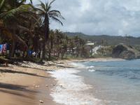 Barbados - Inselrundfahrt