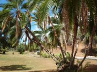 Trinidad and Tobago - Port of Spain