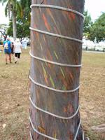 Trinidad and Tobago - Port of Spain