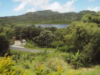 Grenada - Grand Etang Nationalpark
