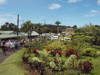 Grenada - Grand Etang Nationalpark