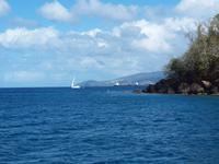 Martinique - Ausflug zu den Schildkröten