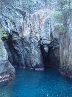 Martinique - Ausflug zu den Schildkröten - Fledermaushöhle
