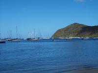 Martinique - Ausflug zu den Schildkröten