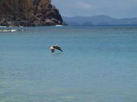 Panoramafahrt Tortola