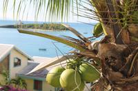 Inselrundfahrt - Guadeloupe