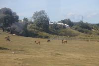 Inselrundfahrt Guadeloupe - Grand Terre