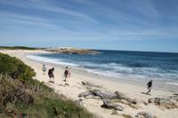 Inselrundfahrt Guadeloupe - Grand Terre - Pointe des Chateaux