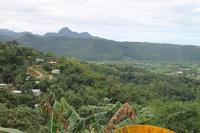 Inselrundfahrt - St.Lucia