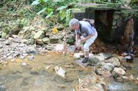 Inselrundfahrt - St.Lucia - Soufriere Schwefelquellen