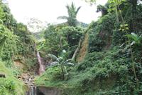 Inselrundfahrt - St.Lucia - Soufriere Schwefelquellen