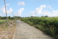 Inselrundfahrt - Barbados