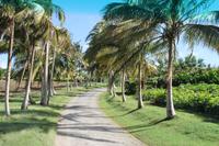 Inselrundfahrt - Barbados