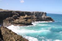 Inselrundfahrt Barbados - Animal Flower Cave