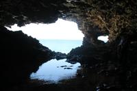 Inselrundfahrt Barbados - Animal Flower Cave