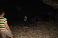 Inselrundfahrt Barbados - Animal Flower Cave