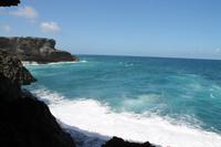 Inselrundfahrt Barbados - Animal Flower Cave