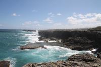 Inselrundfahrt Barbados - Animal Flower Cave